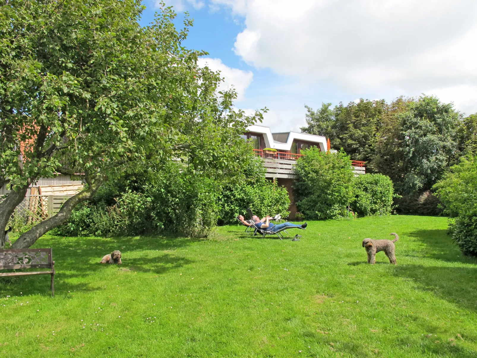 Nordsee-Ferienhaus-Buiten