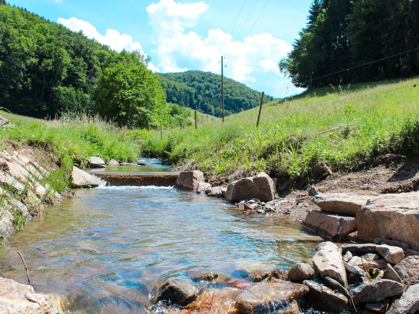 Am Bächle-Buiten