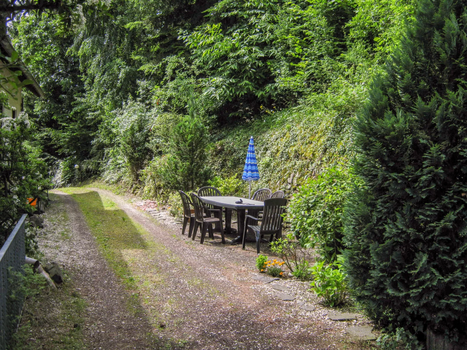 Eifelnatur (Haus 1)-Buiten