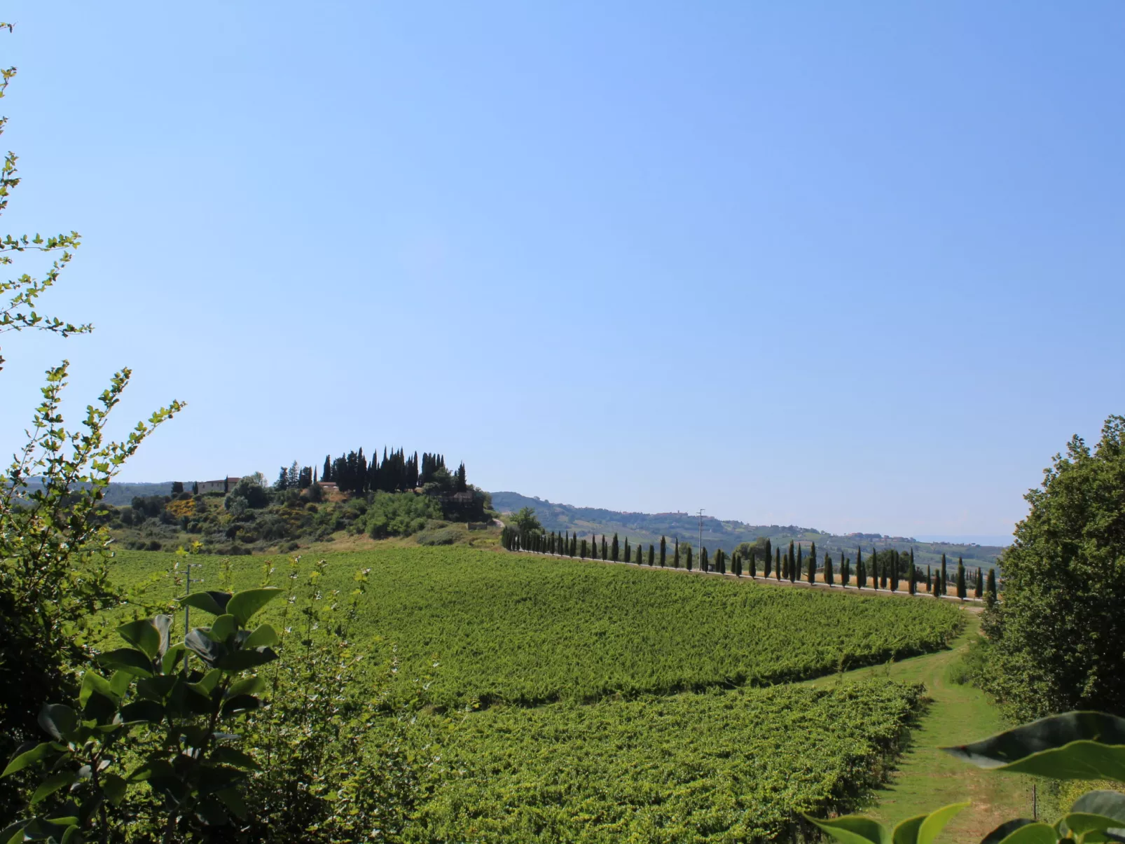 Vineyard View-Buiten