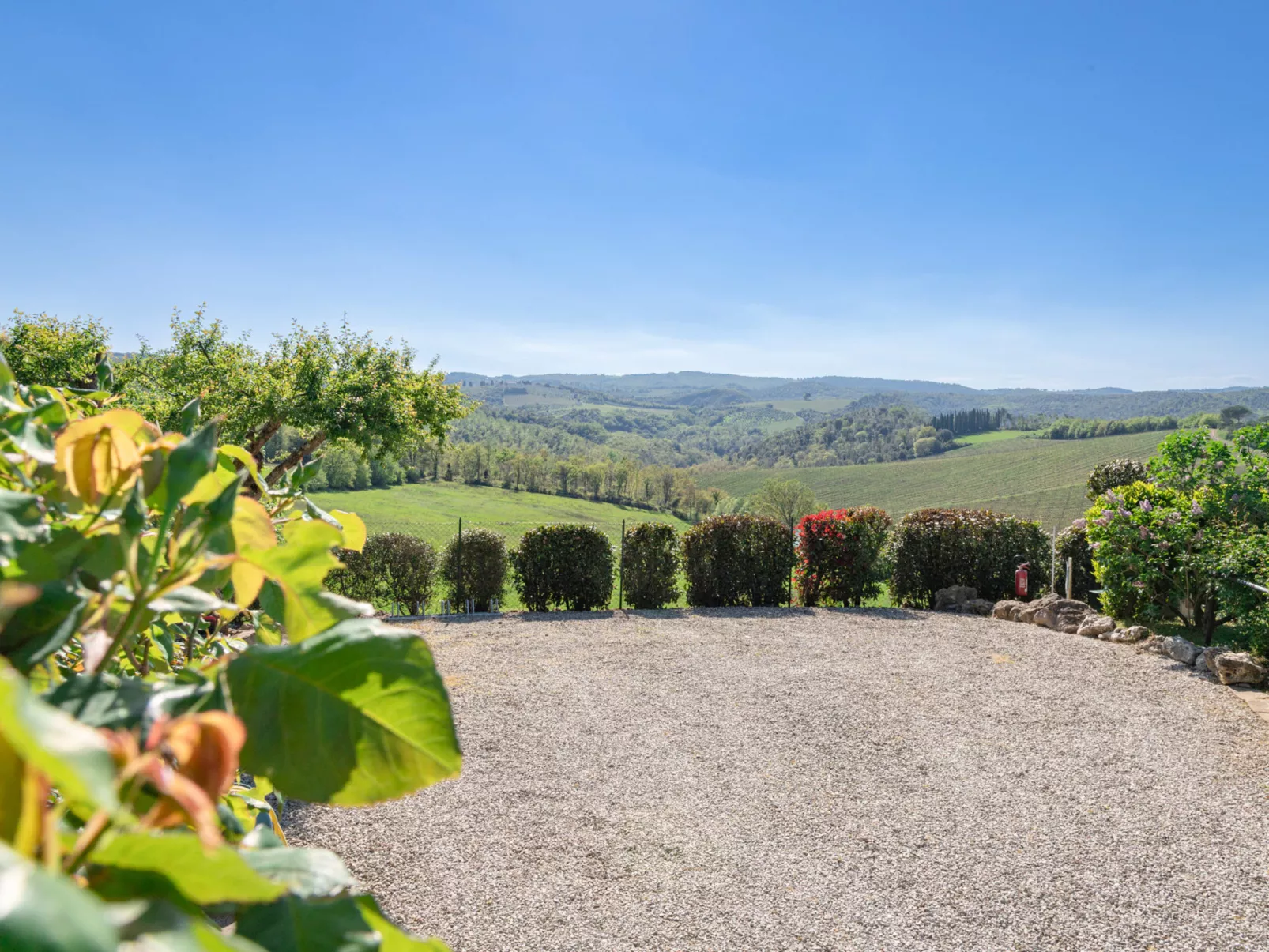 Vineyard View-Buiten