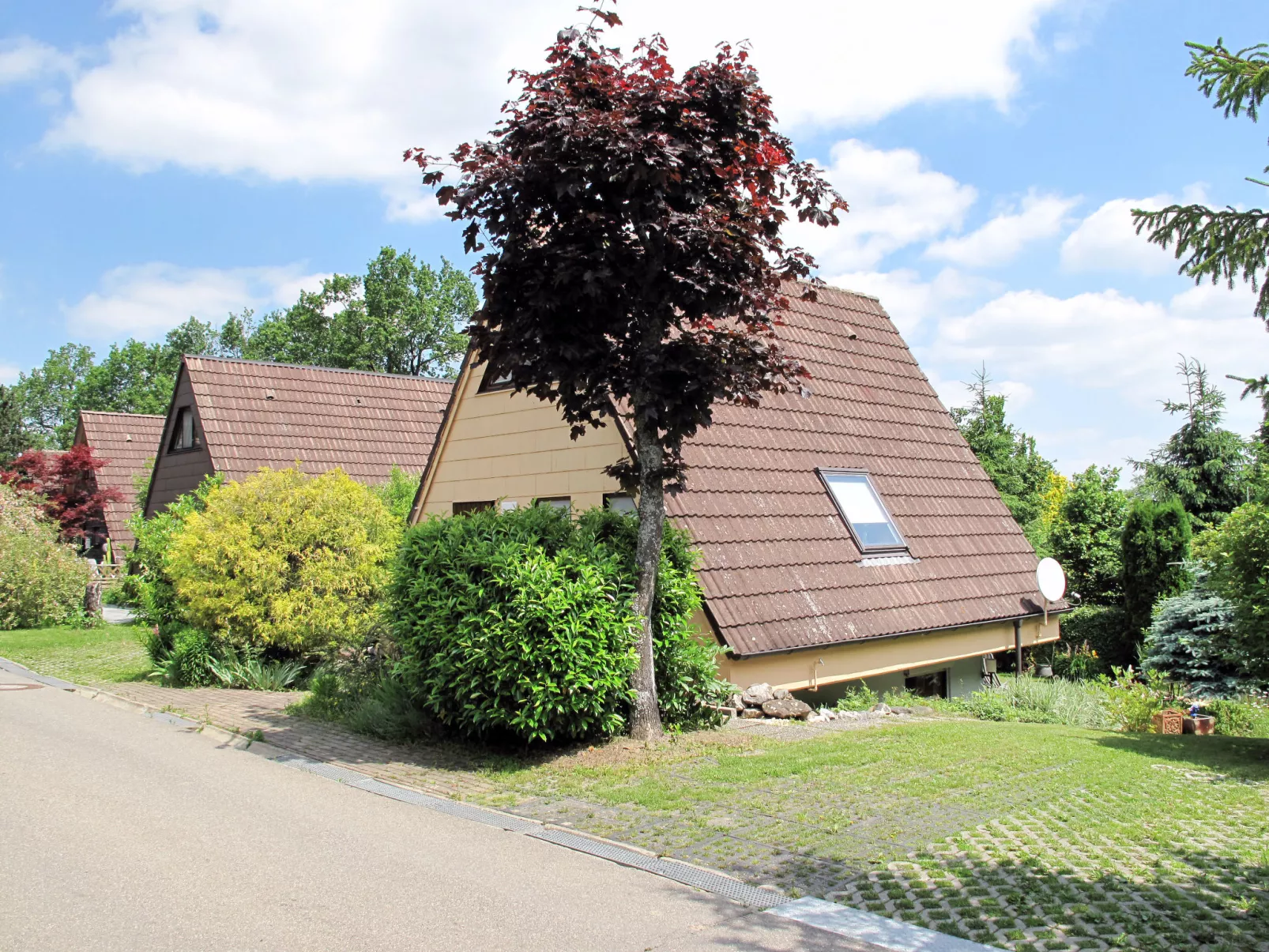 Riedblick I-Buiten