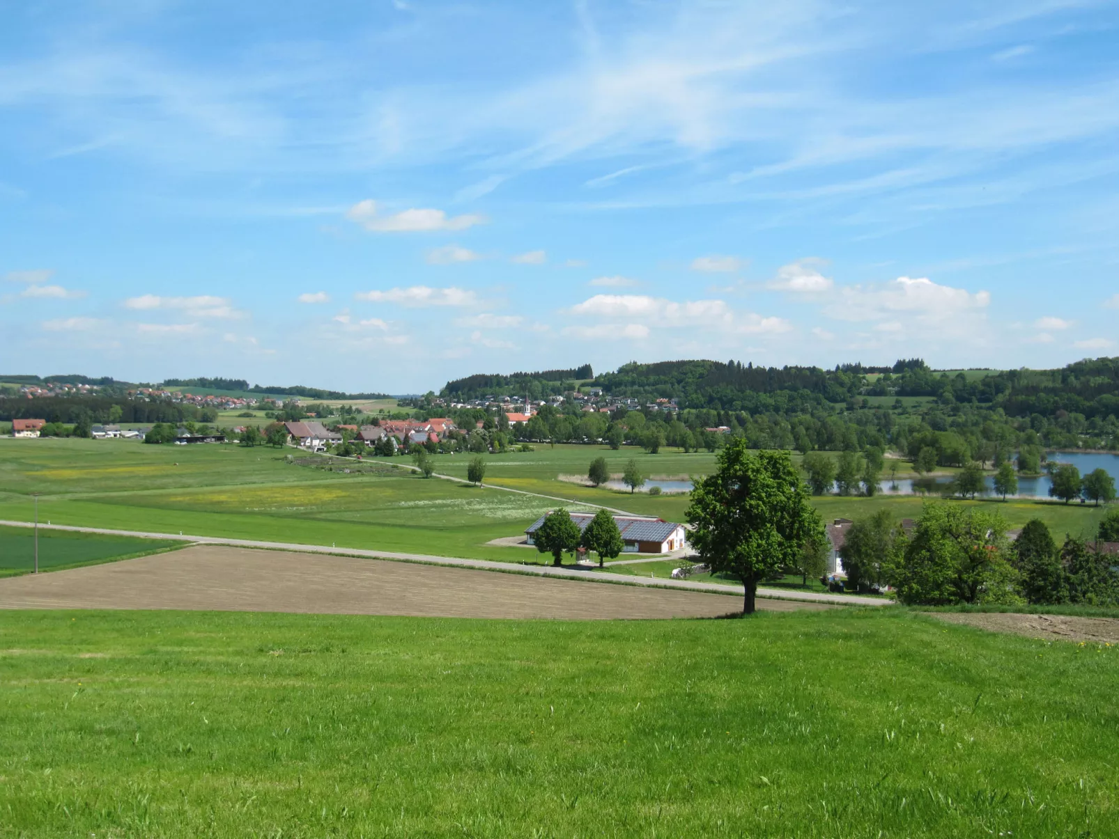 Riedblick I-Omgeving