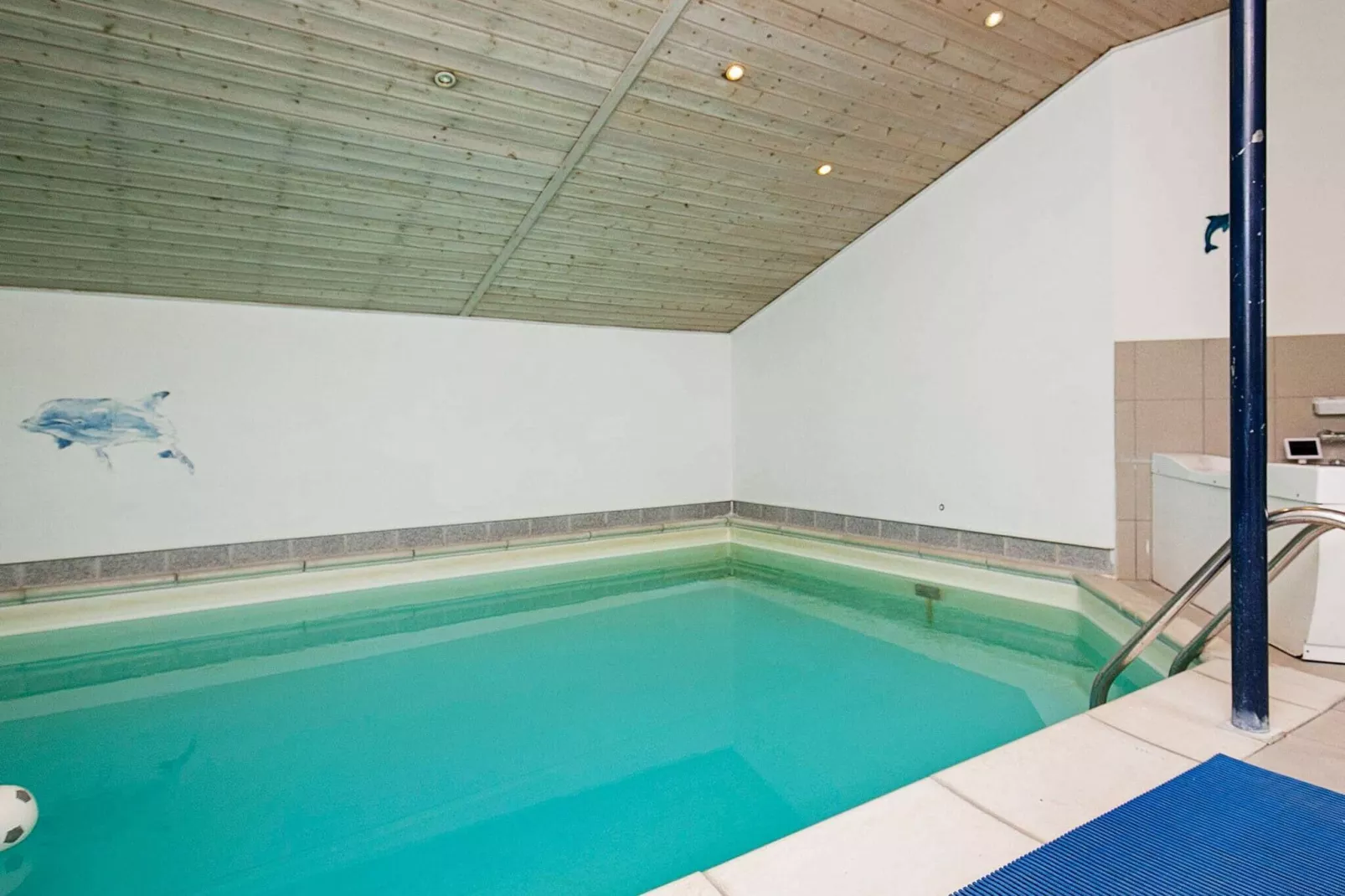 12 persoons vakantie huis in Væggerløse-Zwembad