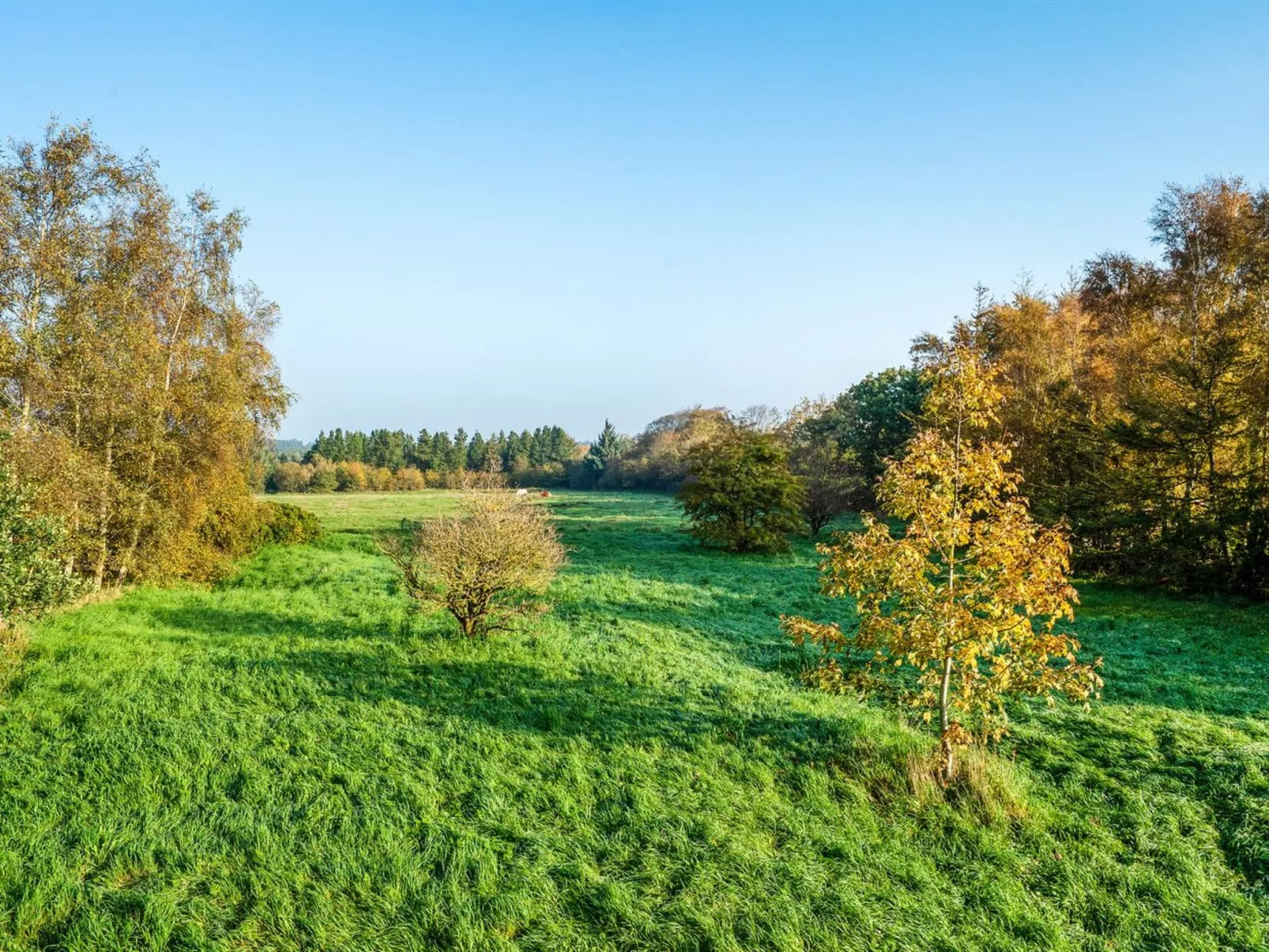 "Karitte" - 5km from the sea-Buiten