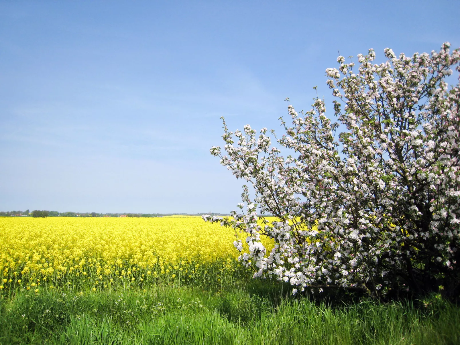 Boche-Omgeving