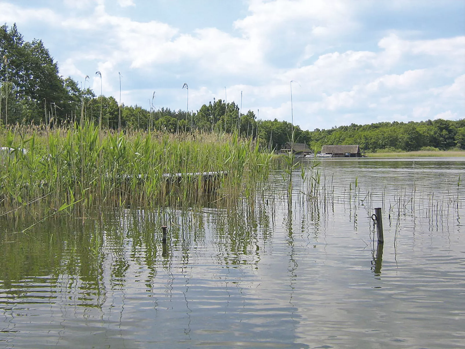 Kranich-Binnen