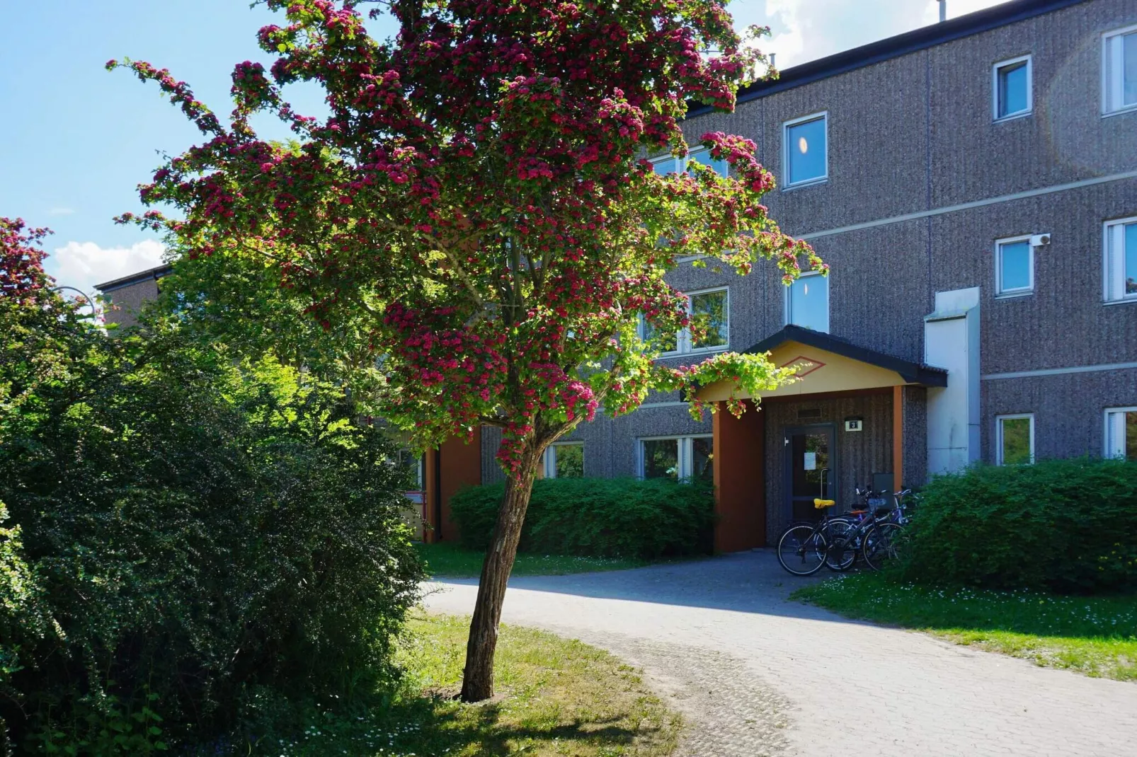 4 persoons vakantie huis in VISBY