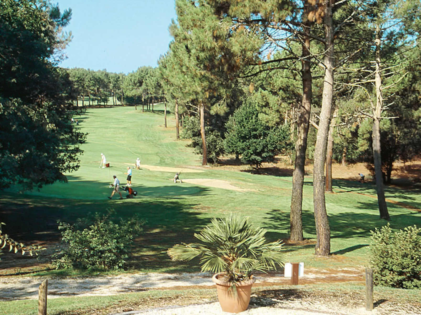 Eden Parc Golf de l'Ardilouse V8IS-Buiten