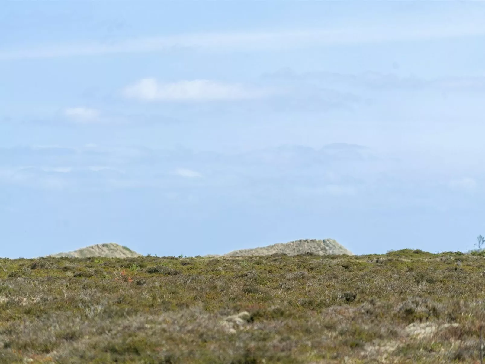"Hrefna" - 350m from the sea-Buiten