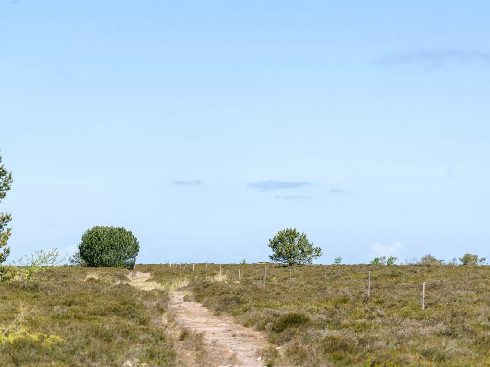 "Hrefna" - 350m from the sea-Buiten