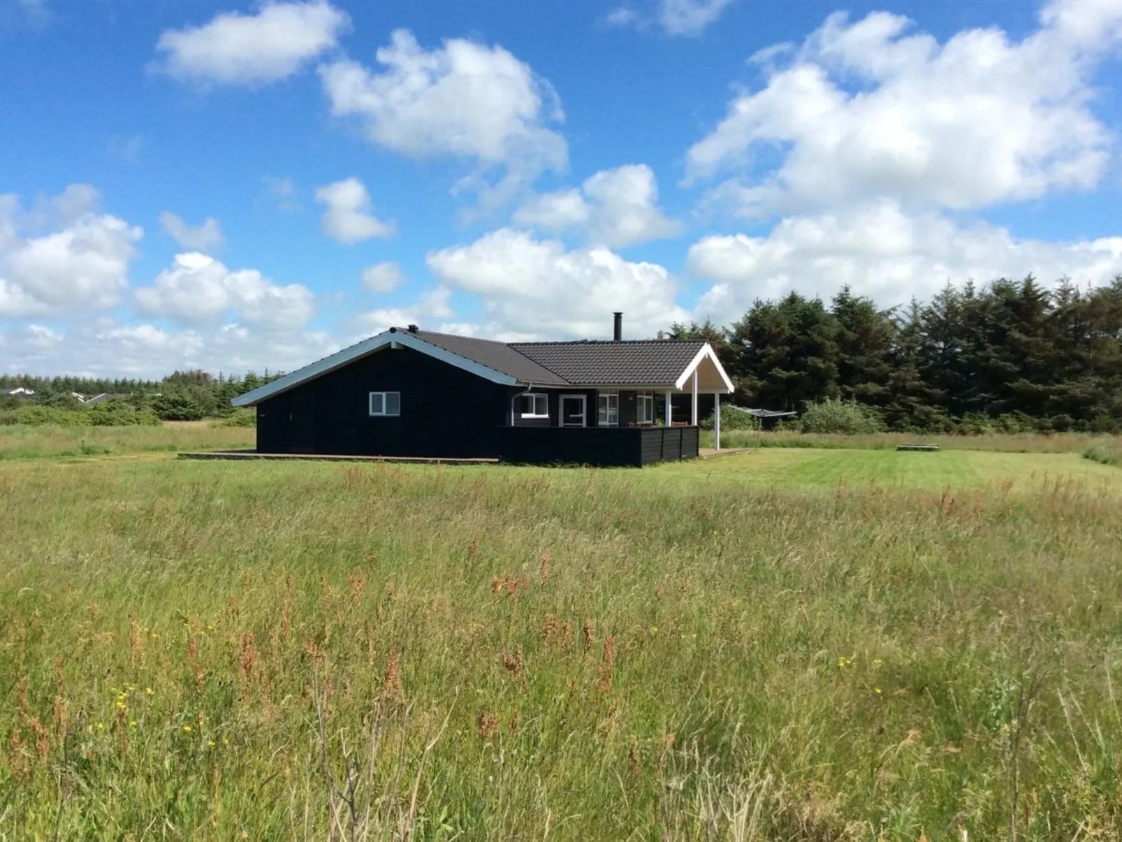 "Oskarvine" - 900m from the sea-Buiten