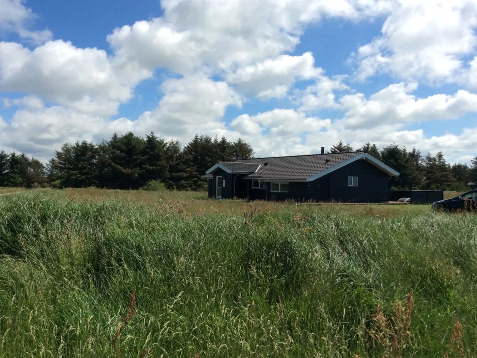 "Oskarvine" - 900m from the sea-Buiten