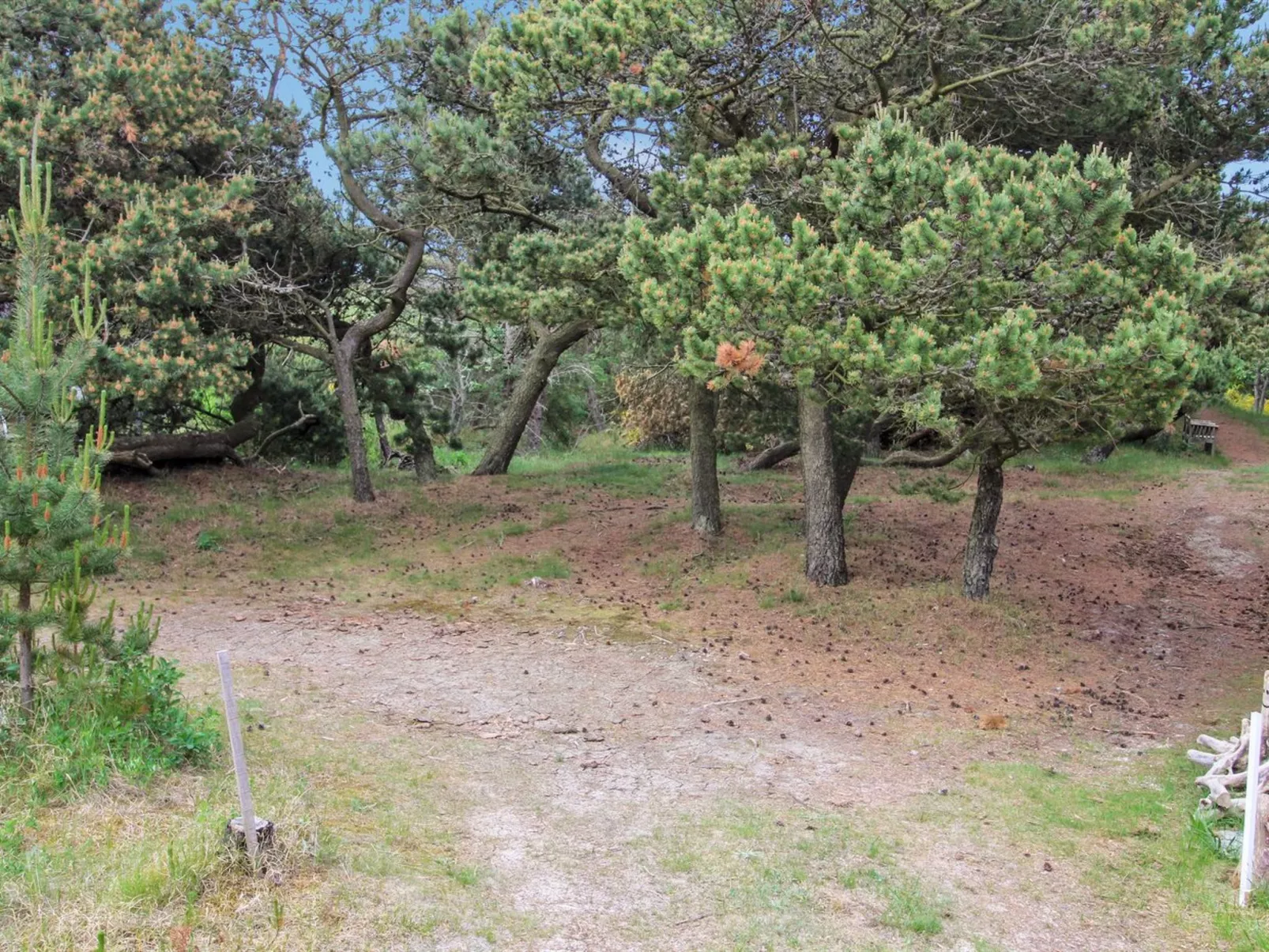 "Kanutte" - 400m from the sea-Buiten