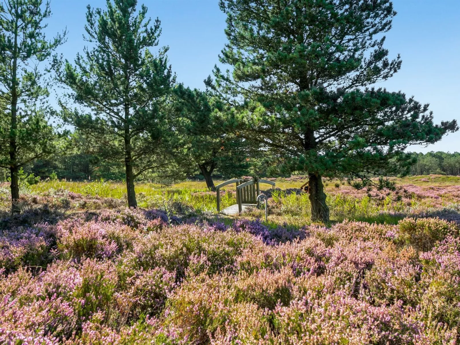 "Tea" - 2.7km from the sea-Buiten