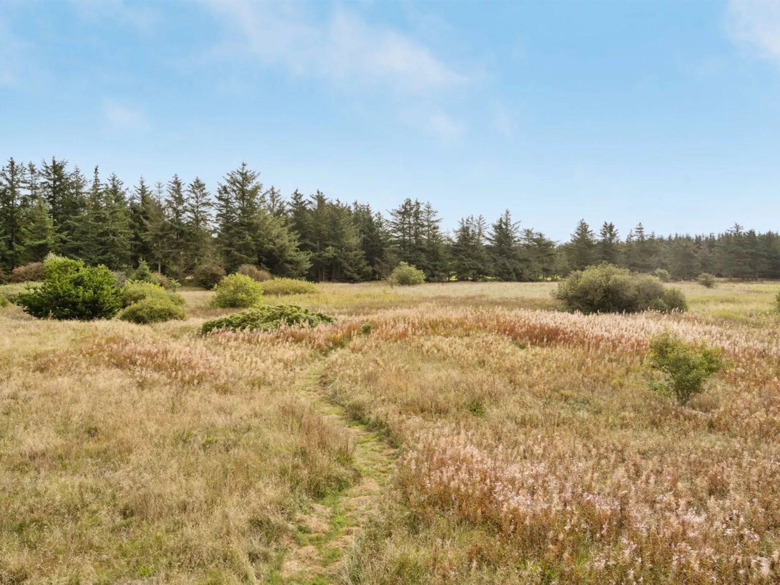 "Sulki" - 3.5km from the sea-Buiten