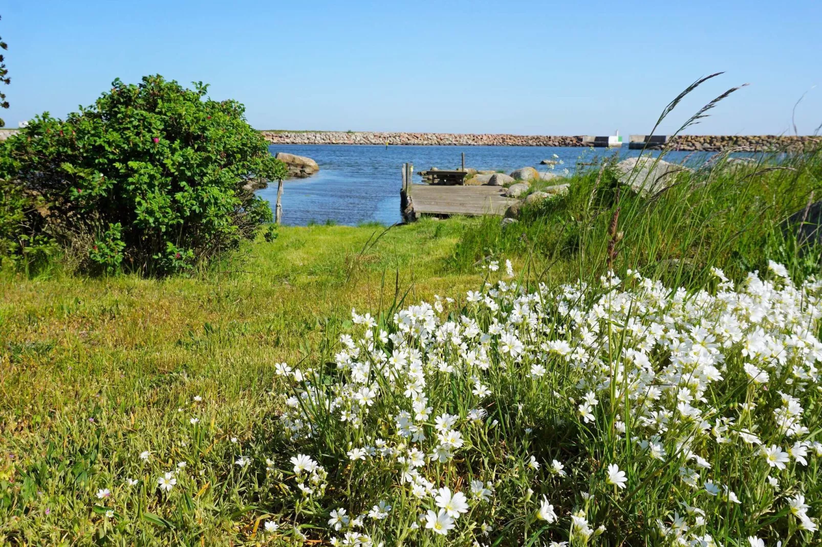 5 persoons vakantie huis in SÖLVESBORG-By Traum-Buitenlucht