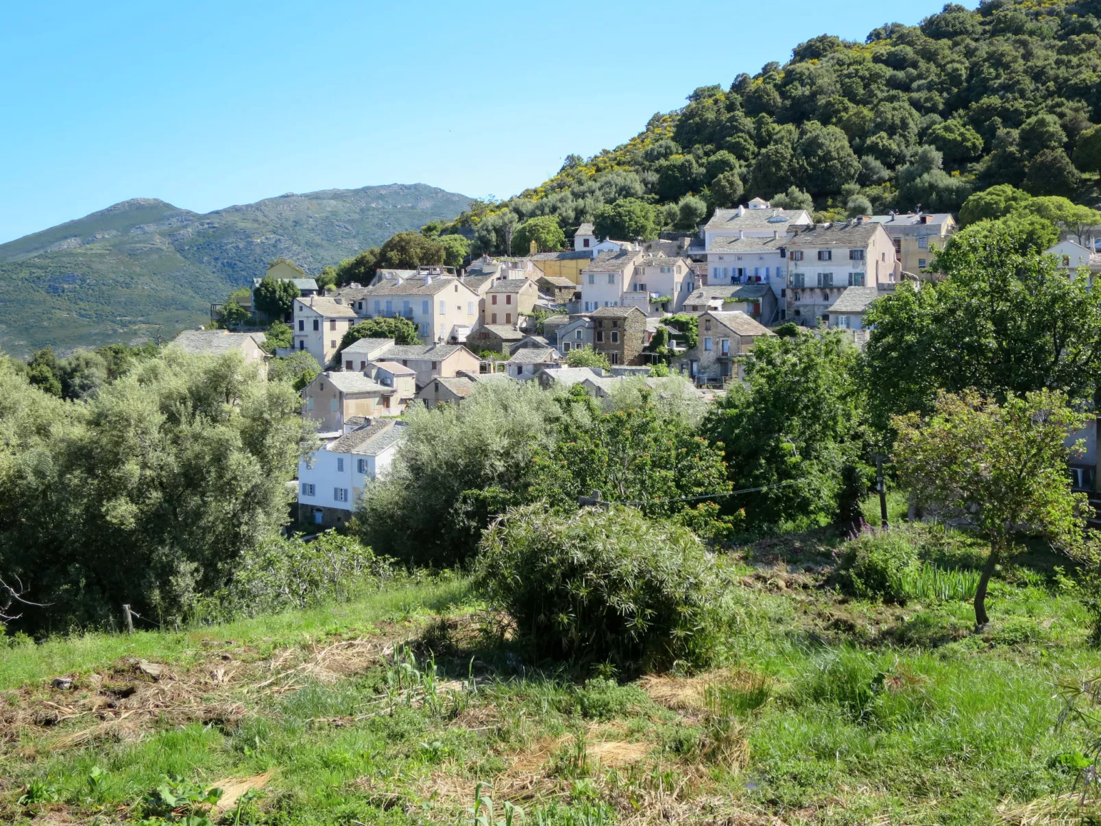Maison Balbi-Buiten