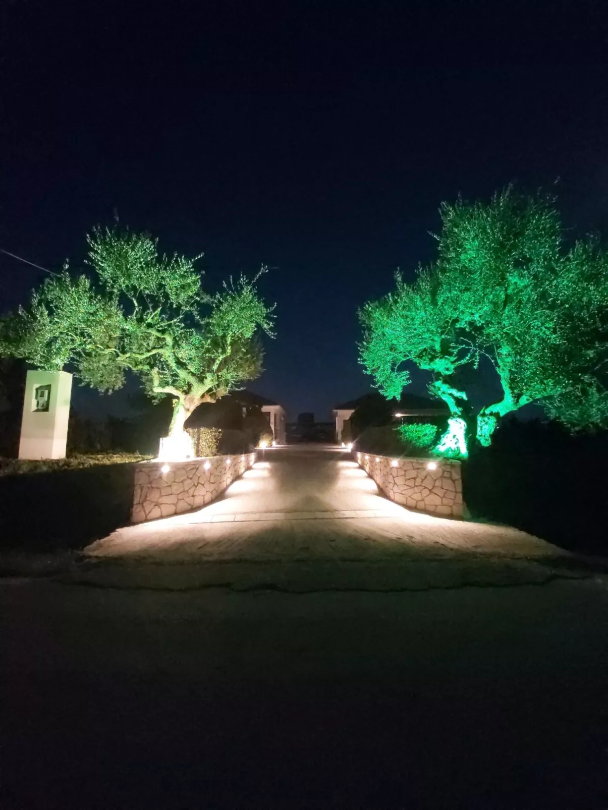 Madini Luxury Villa-Buiten