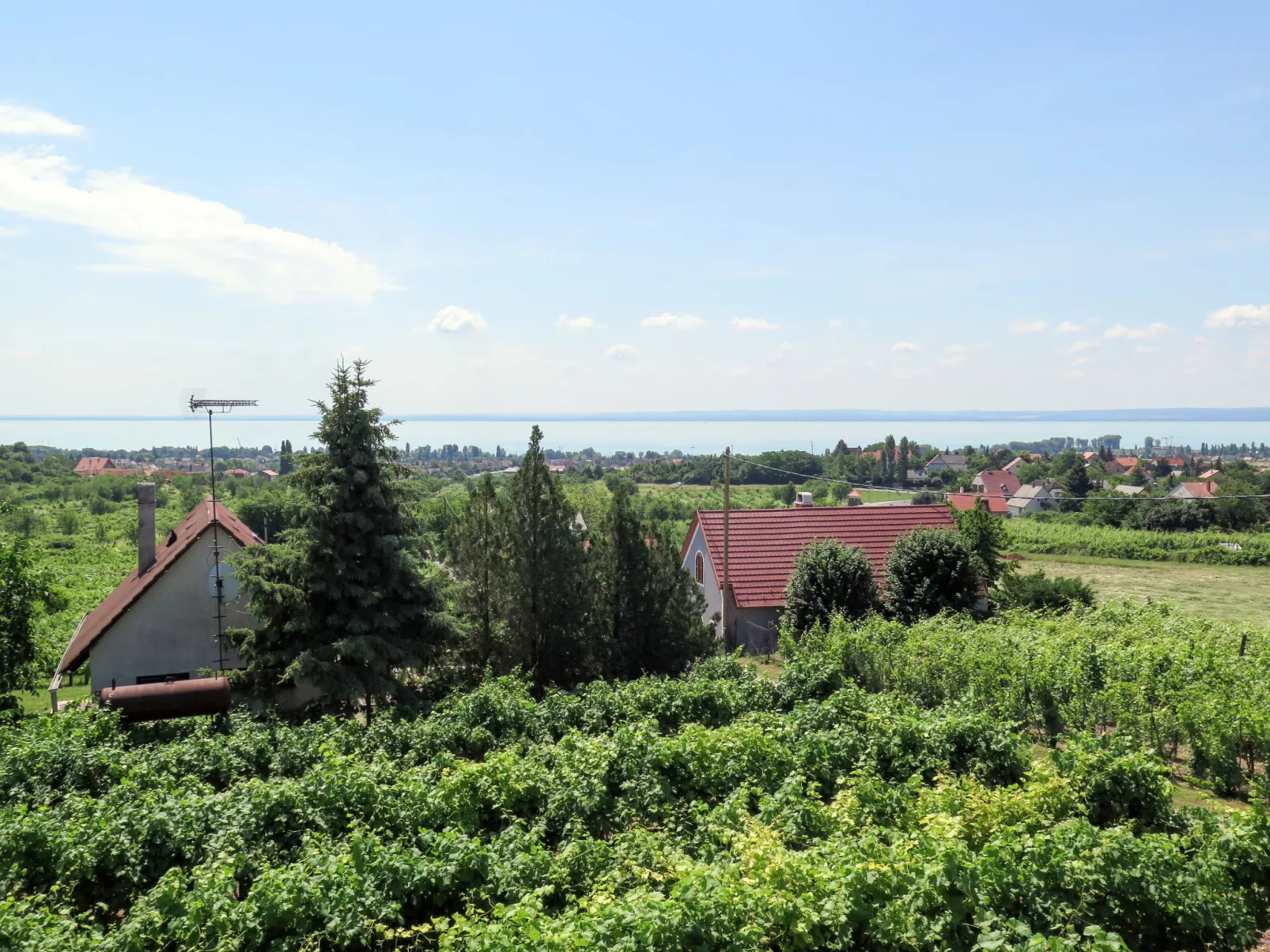 Dul-Buiten