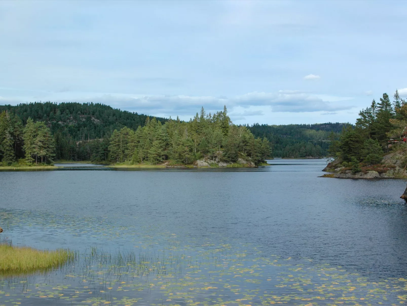 Øygårdsheia-Buiten
