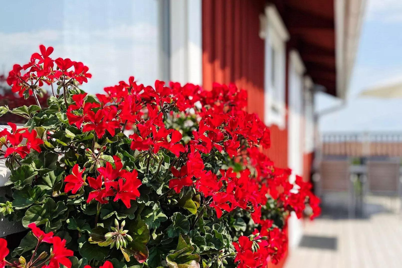 4 persoons vakantie huis in ONSALA-By Traum-Buitenlucht