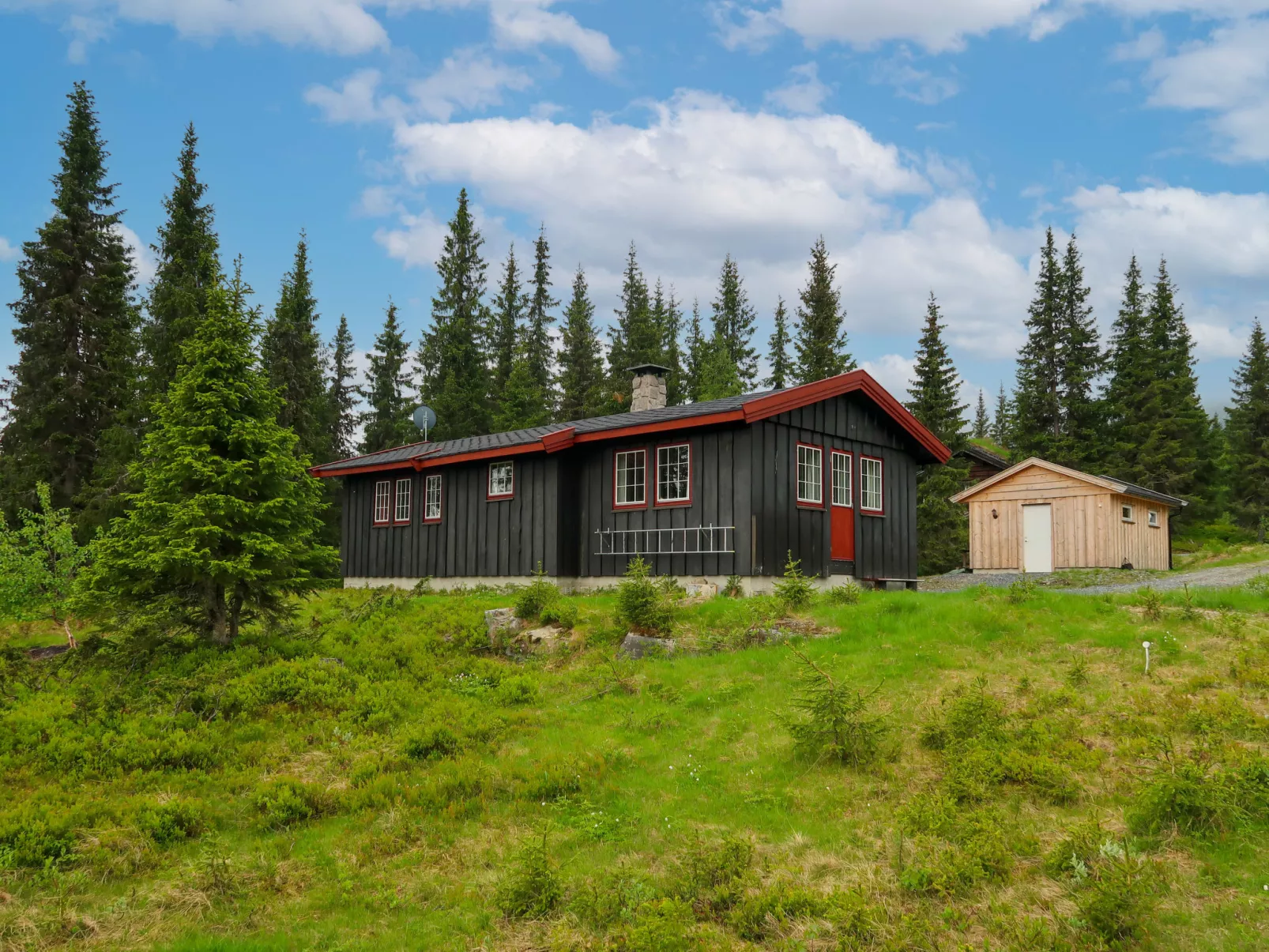 Liaråket (OPP209)-Buiten