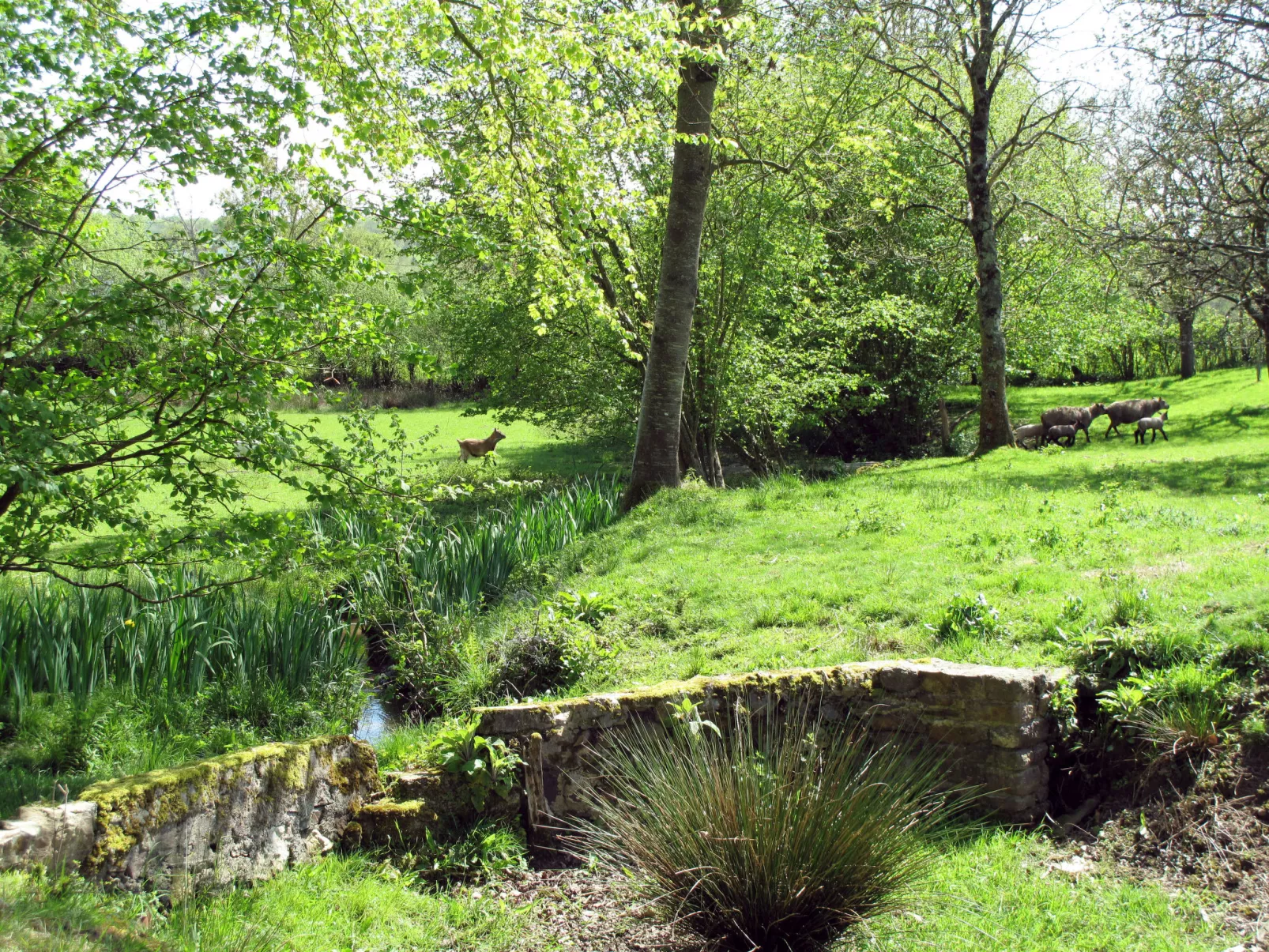 Au Verger Fleuri (HUD400)-Buiten