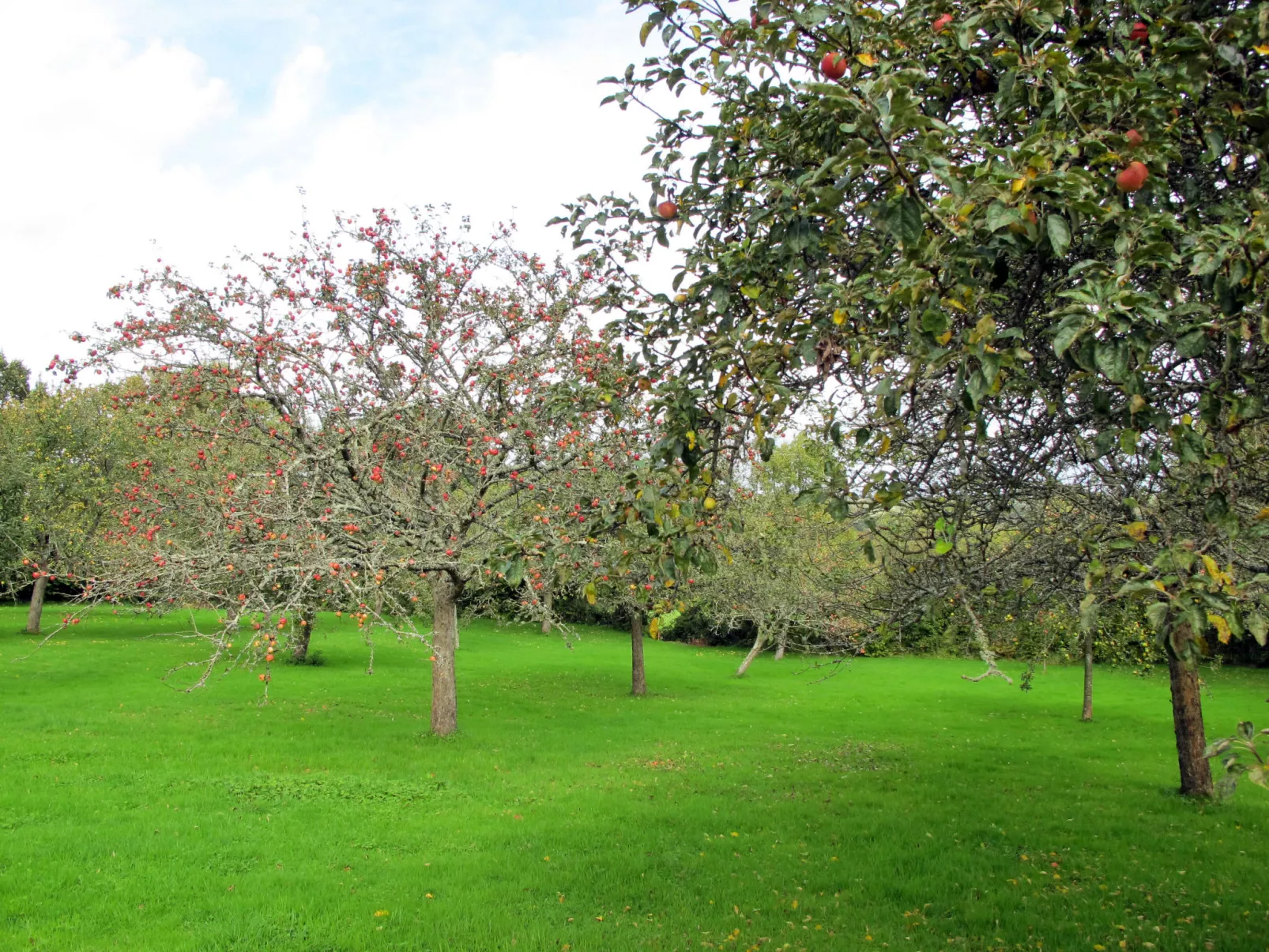 Le Lanchon-Buiten