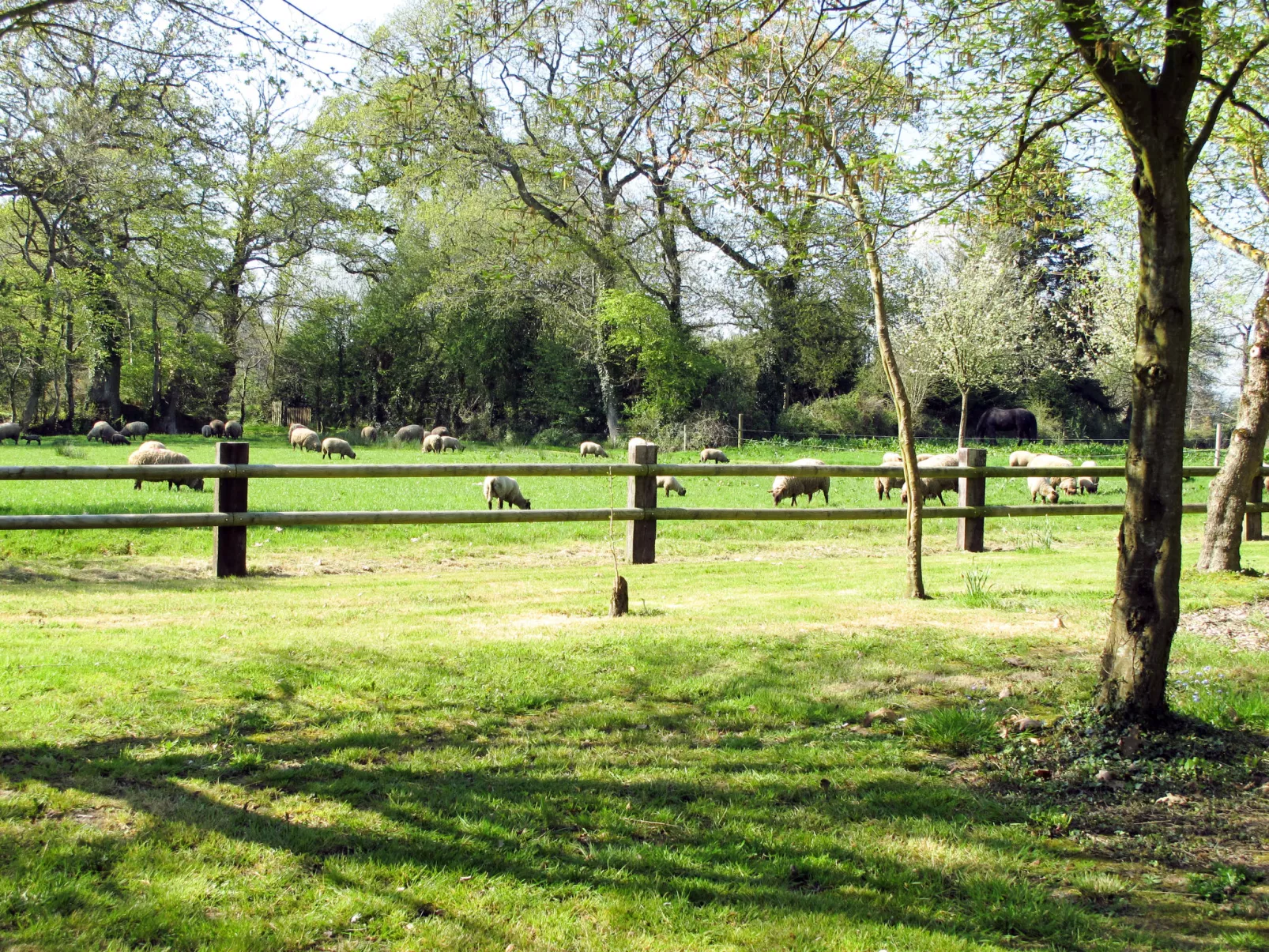 La Bergerie-Buiten
