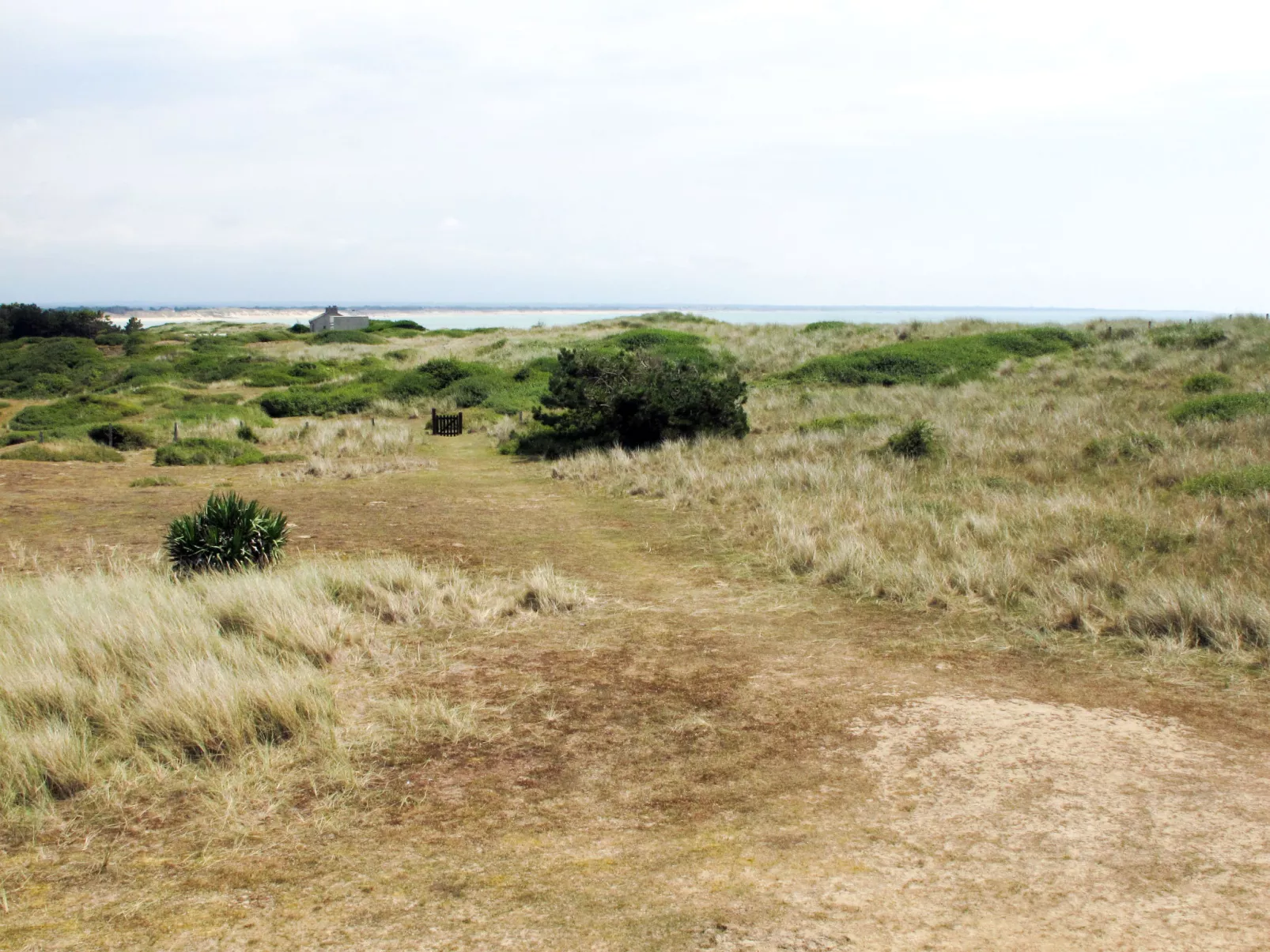 Les Dunes (SGY400)-Buiten