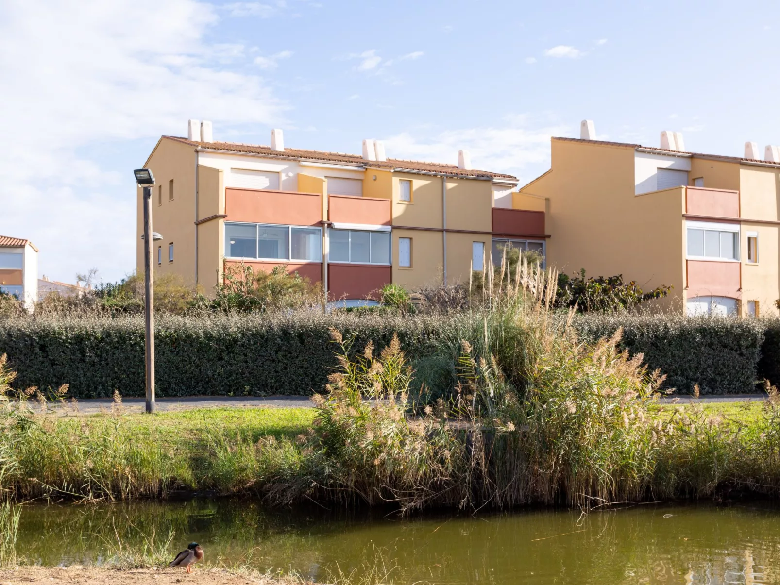 Les terrasses de la Plage-Buiten