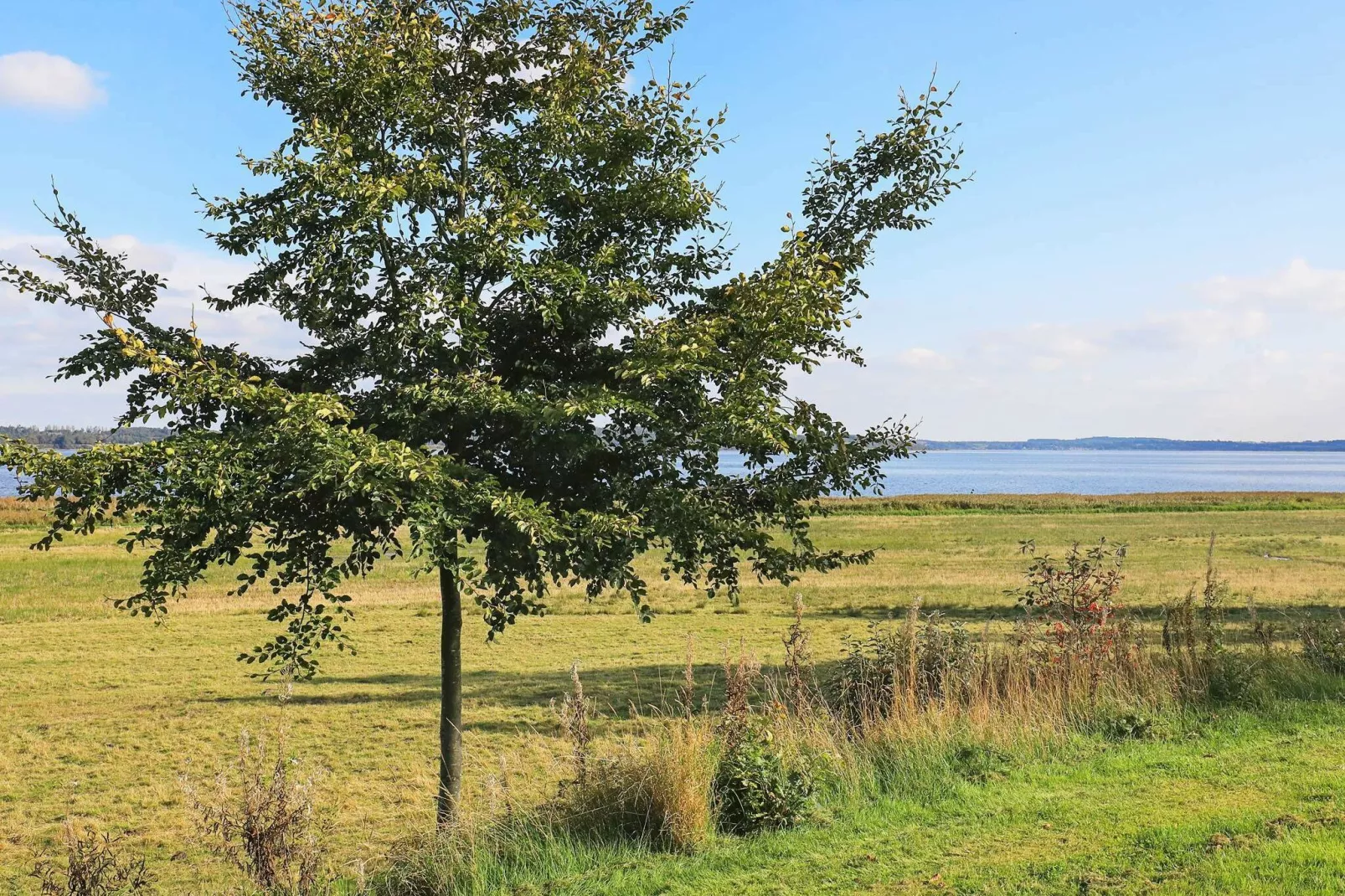 4 persoons vakantie huis in Højslev-Waterzicht