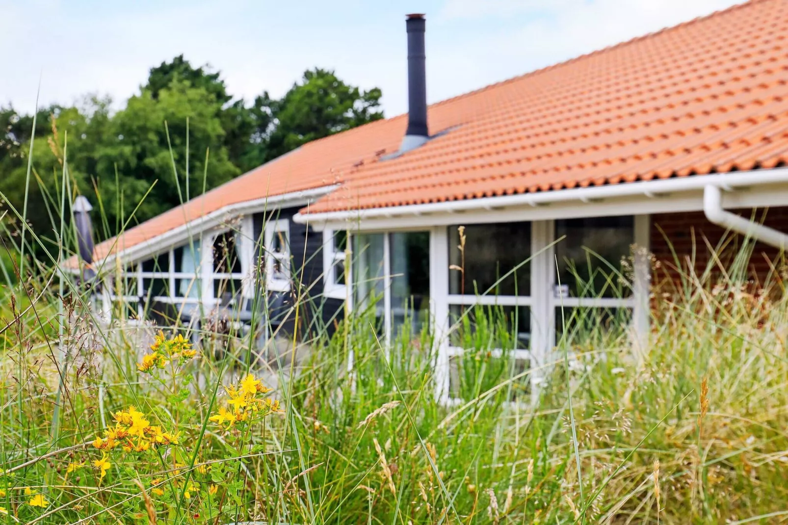 12 persoons vakantie huis in Blåvand-Uitzicht