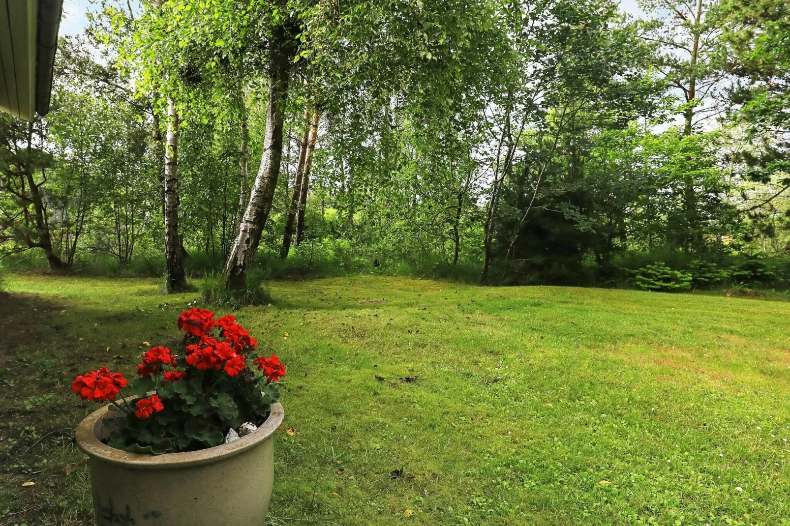6 persoons vakantie huis in Brovst-By Traum-Uitzicht