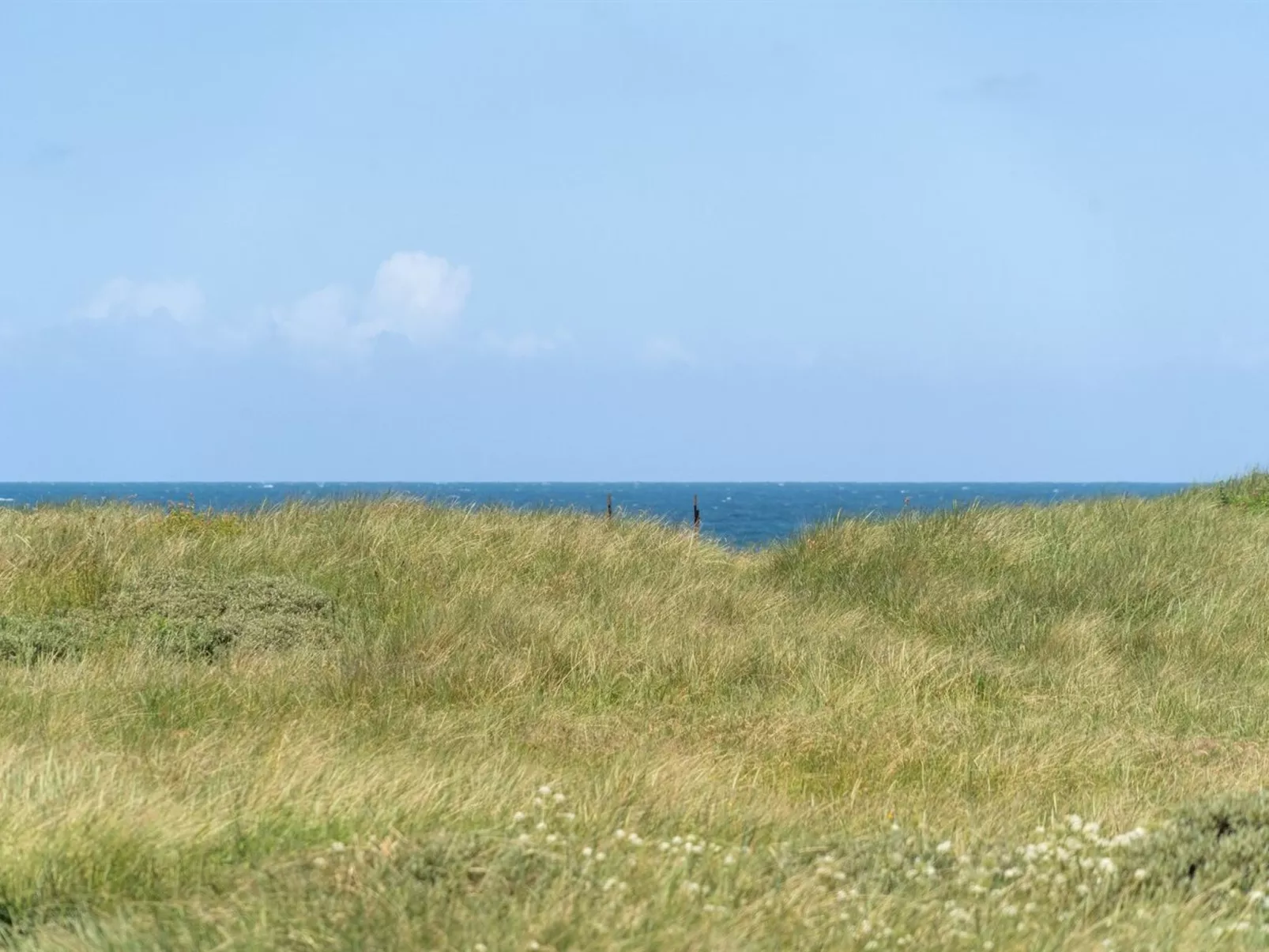 "Dila" - 150m from the sea-Buiten