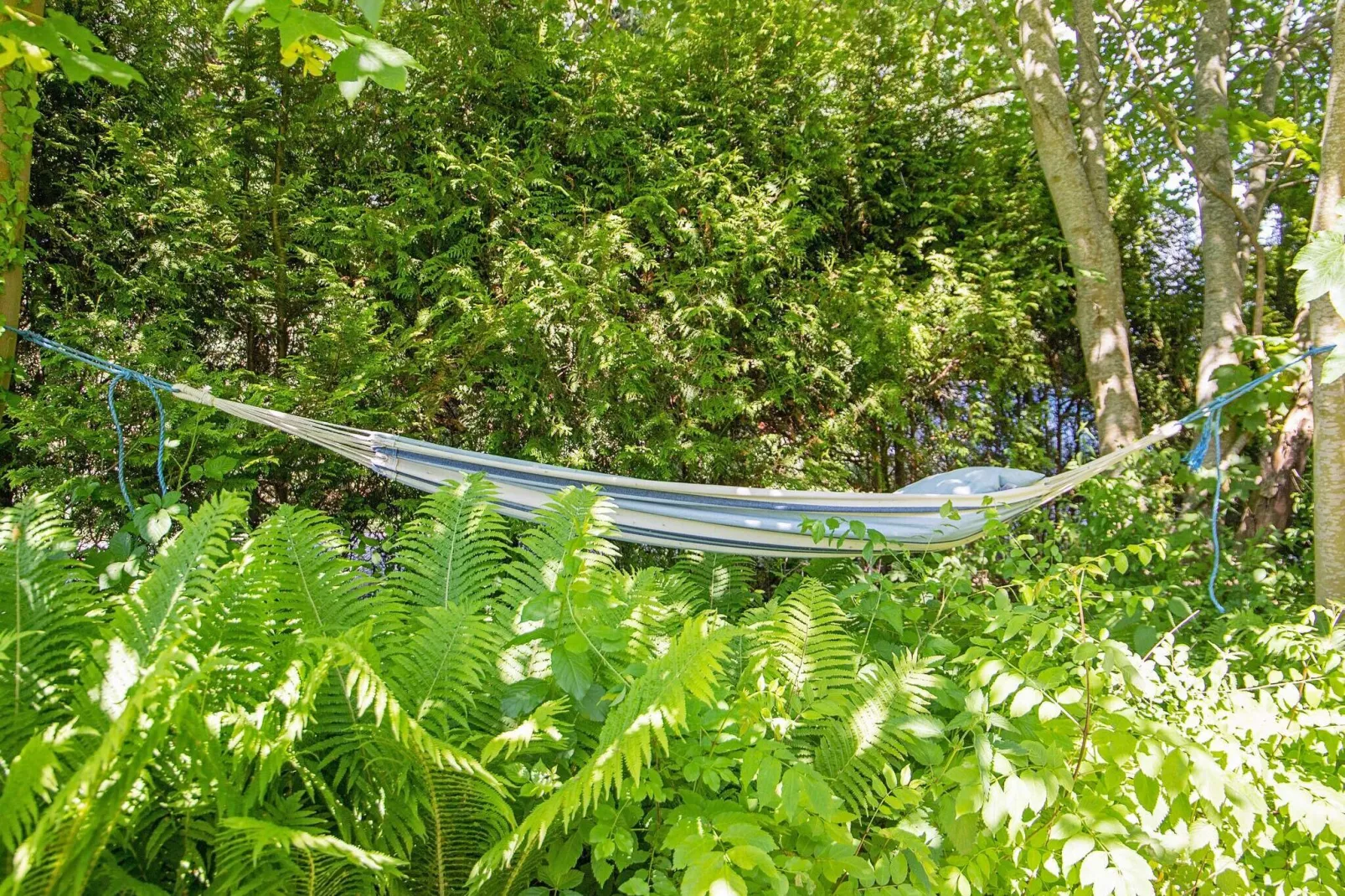 5 persoons vakantie huis in Frørup-By Traum-Buitenlucht