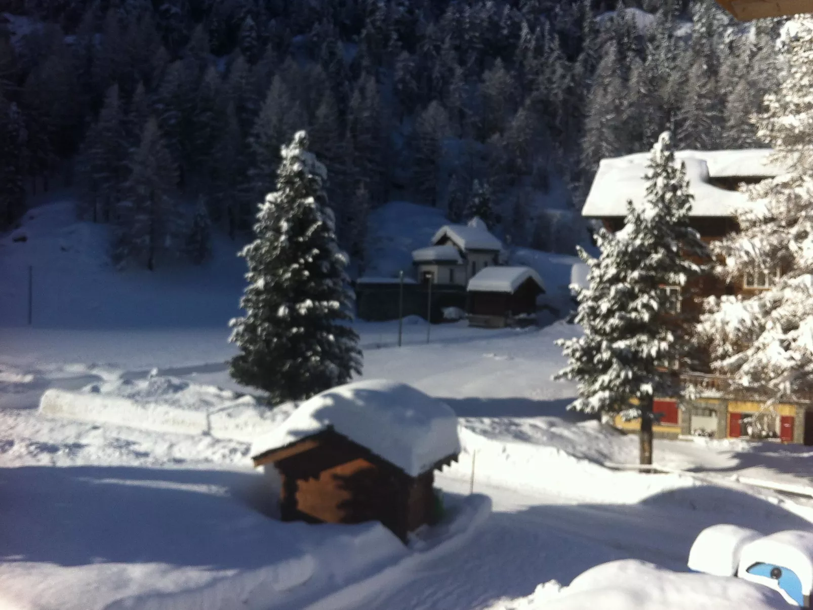 Haus Alpenstern, Wohnung Aelpi-Binnen