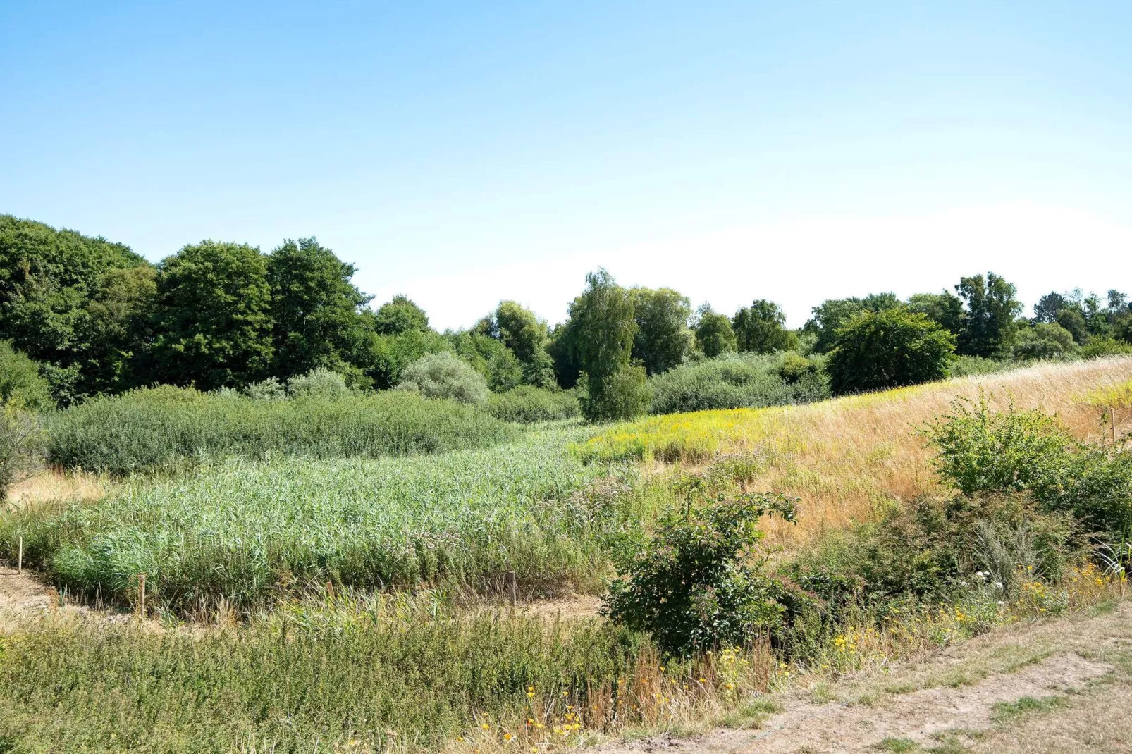 8 persoons vakantie huis in Slagelse-By Traum-Uitzicht