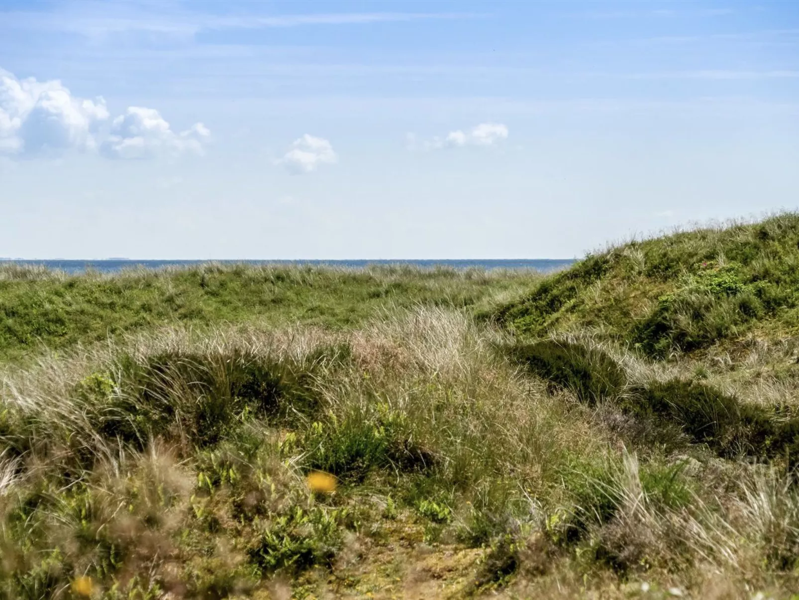 "Ajten" - 150m from the sea-Binnen