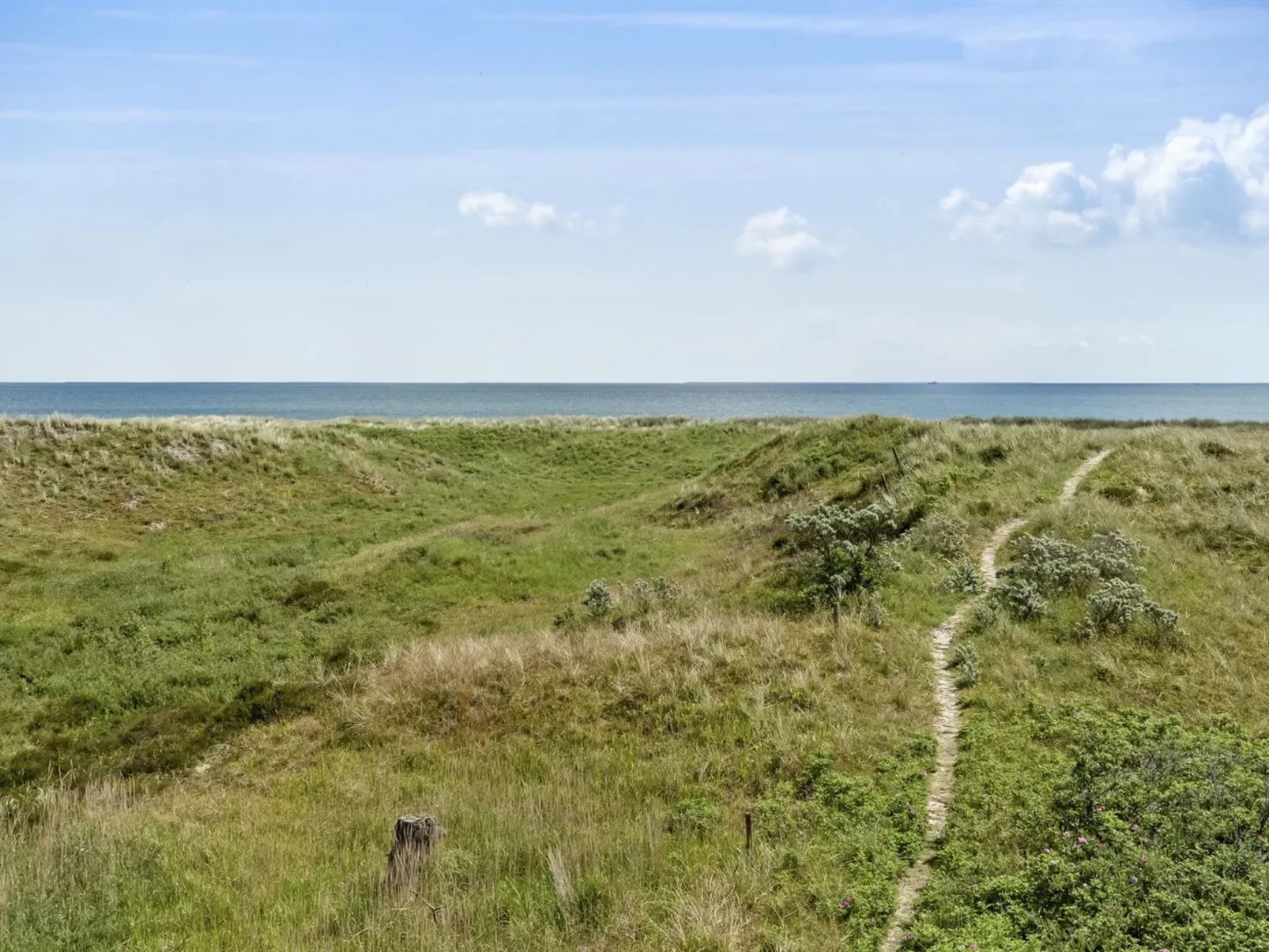 "Ajten" - 150m from the sea-Binnen