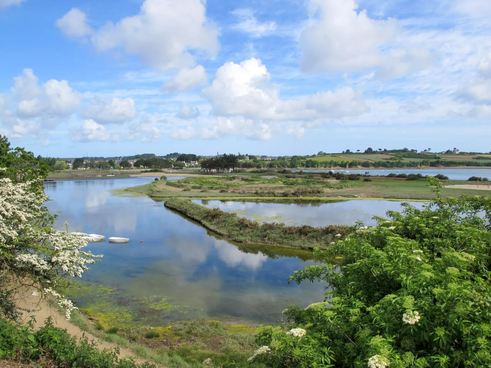 Gwenn-Omgeving