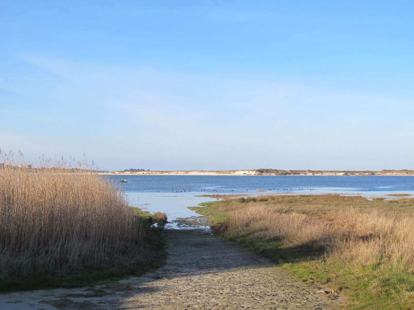 La Goulvinoise-Omgeving