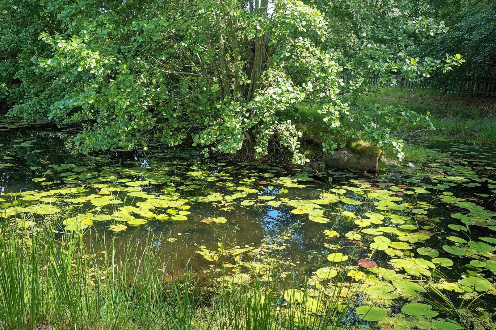 6 persoons vakantie huis in MARIESTAD-By Traum