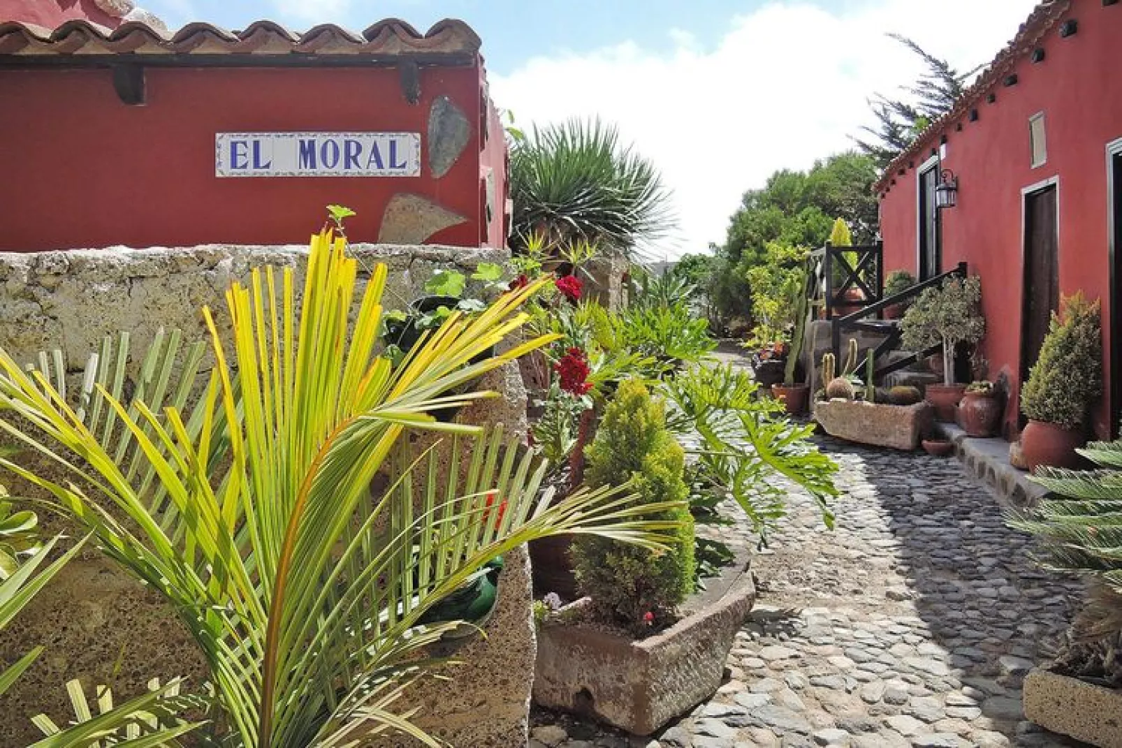 Casa El Moral-Tuinen zomer