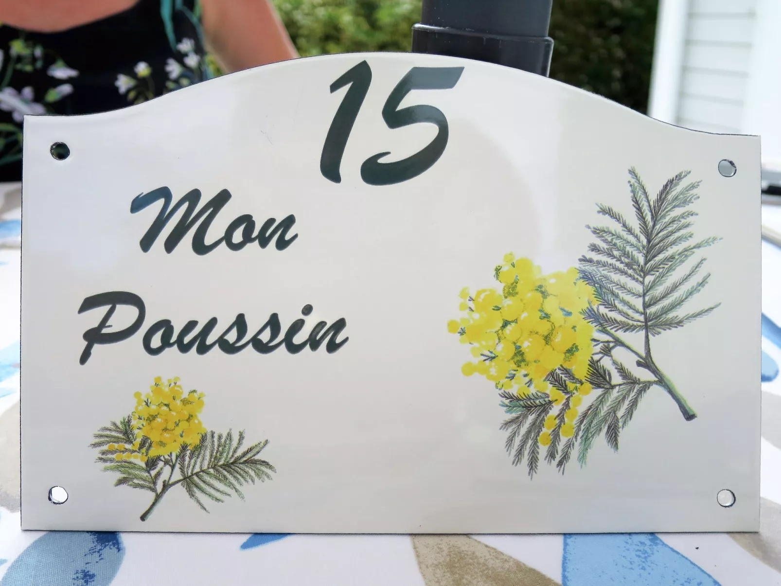 Mon Poussin-Binnen