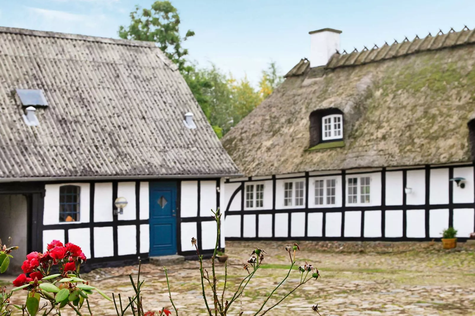 4 persoons vakantie huis in Faaborg-By Traum-Uitzicht