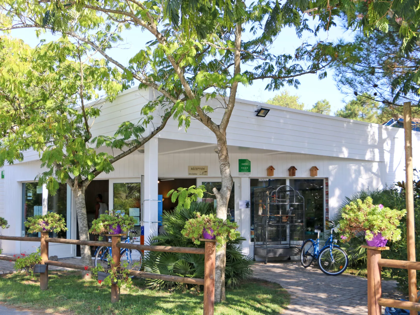 Premium Key West-Binnen