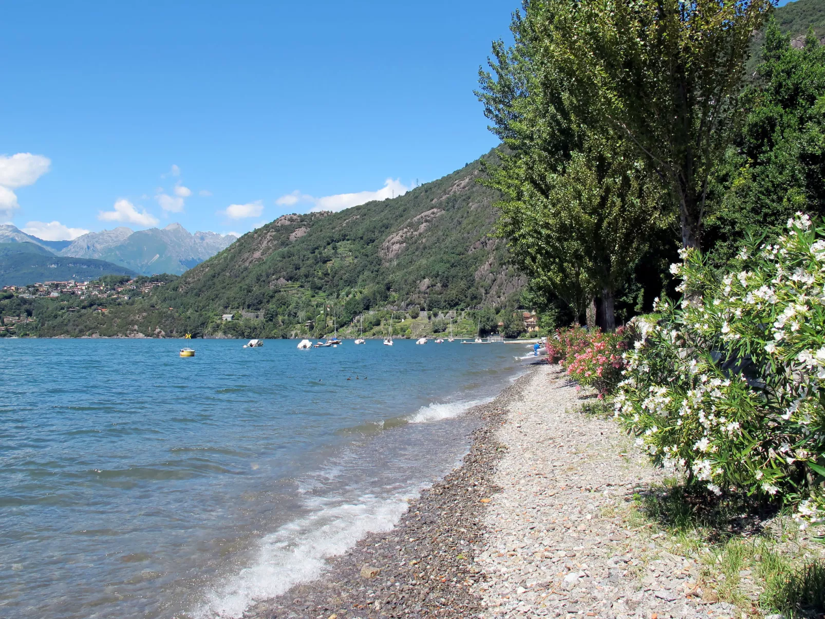 Paníco-Omgeving