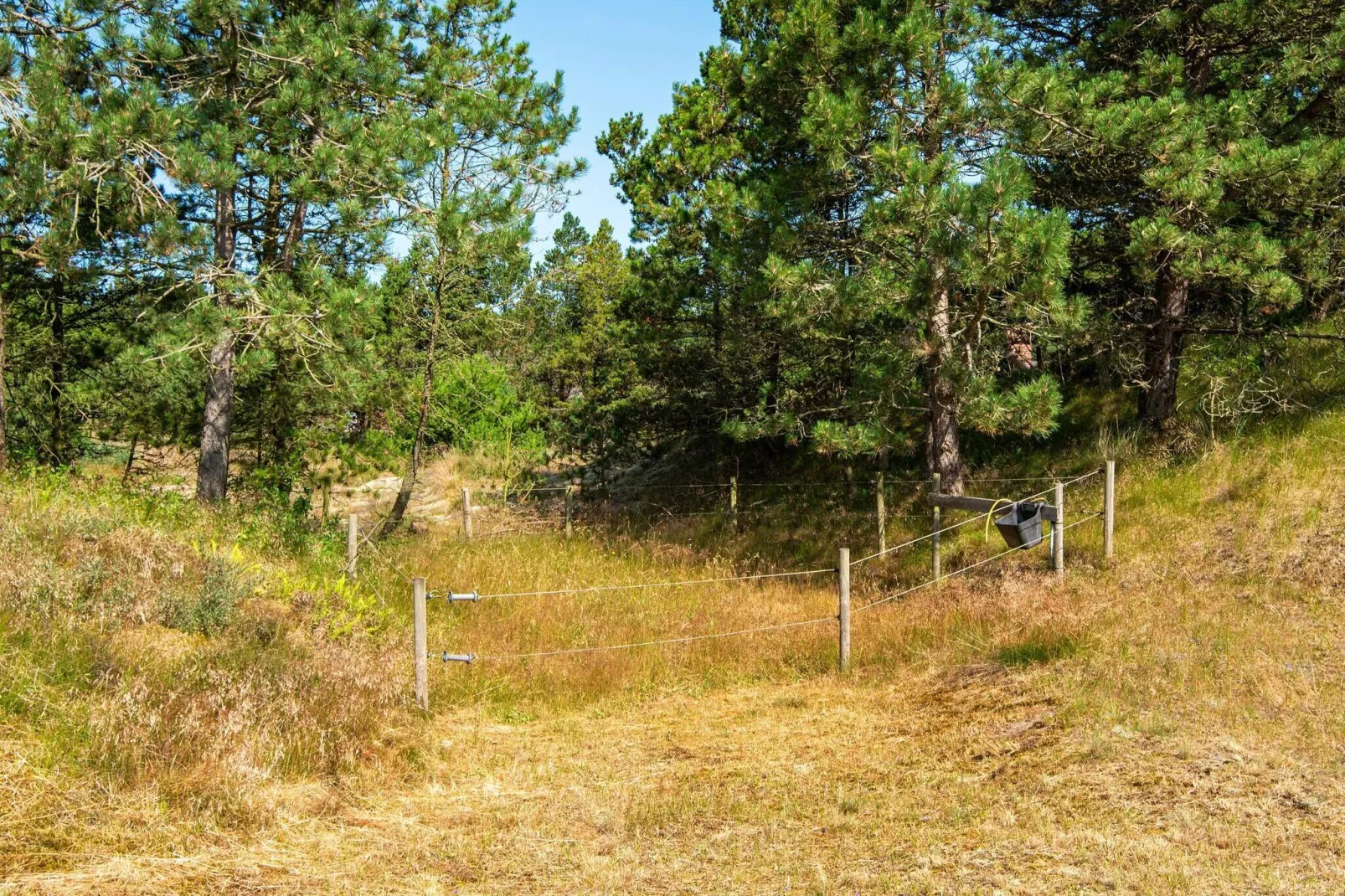 7 persoons vakantie huis in Rømø-Uitzicht